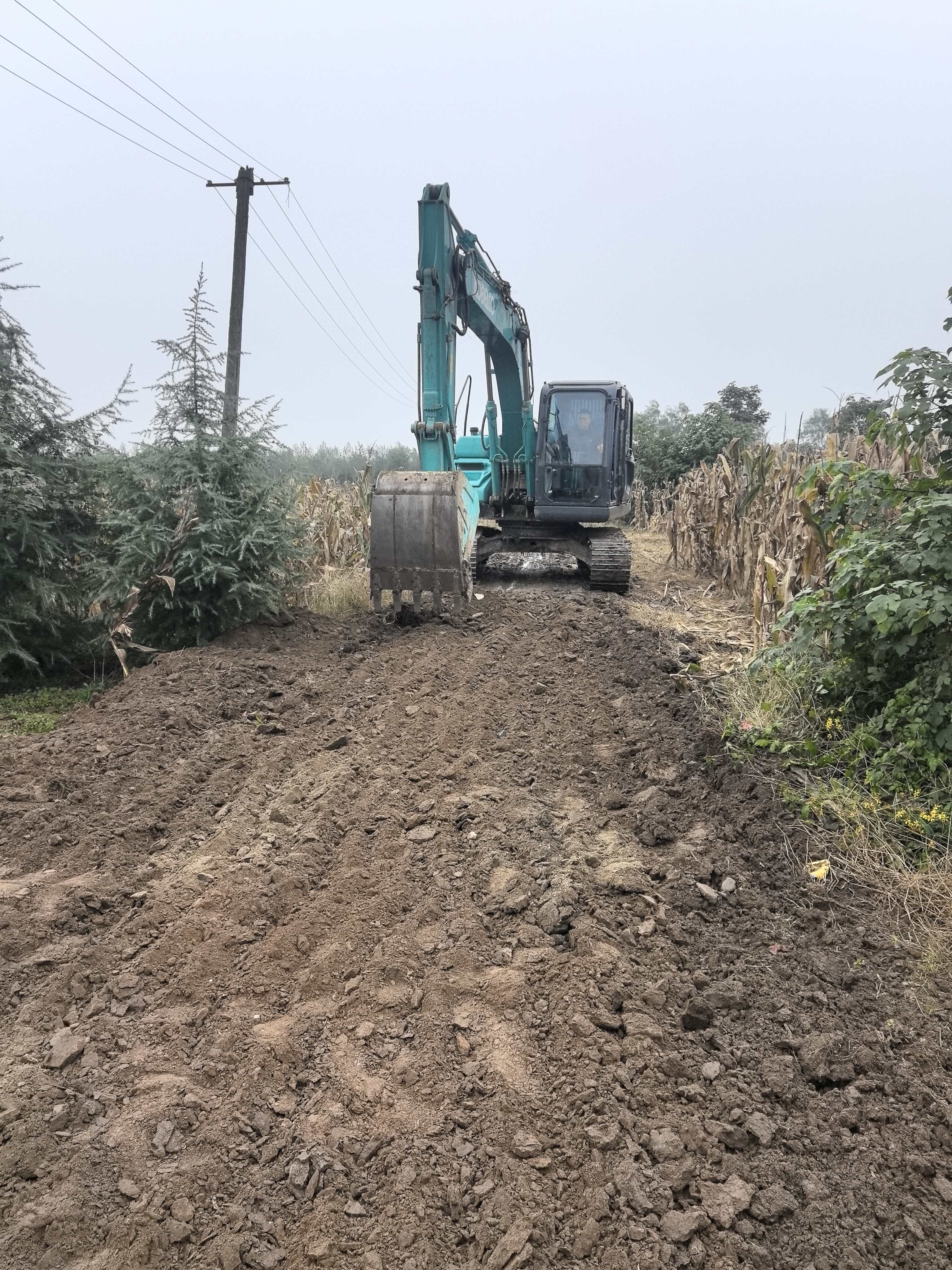 富仁镇五一村苗木、猕猴桃出产路硬化项目施工进度